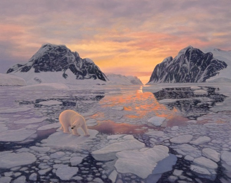 Lorenzo Fracchetti Lord of the Sea Ice Polar Bear